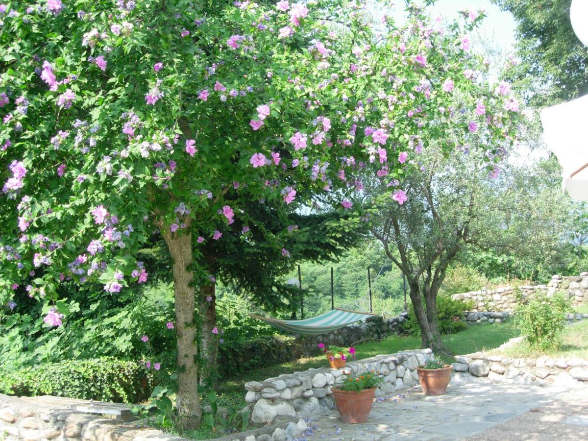Villa Anthemia 나우사이마티아스 외부 사진