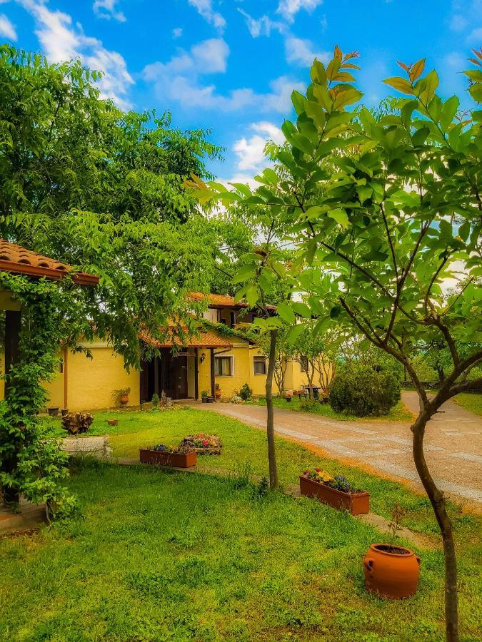 Villa Anthemia 나우사이마티아스 외부 사진